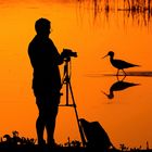 Der Naturfotograf ist unterwegs ... 