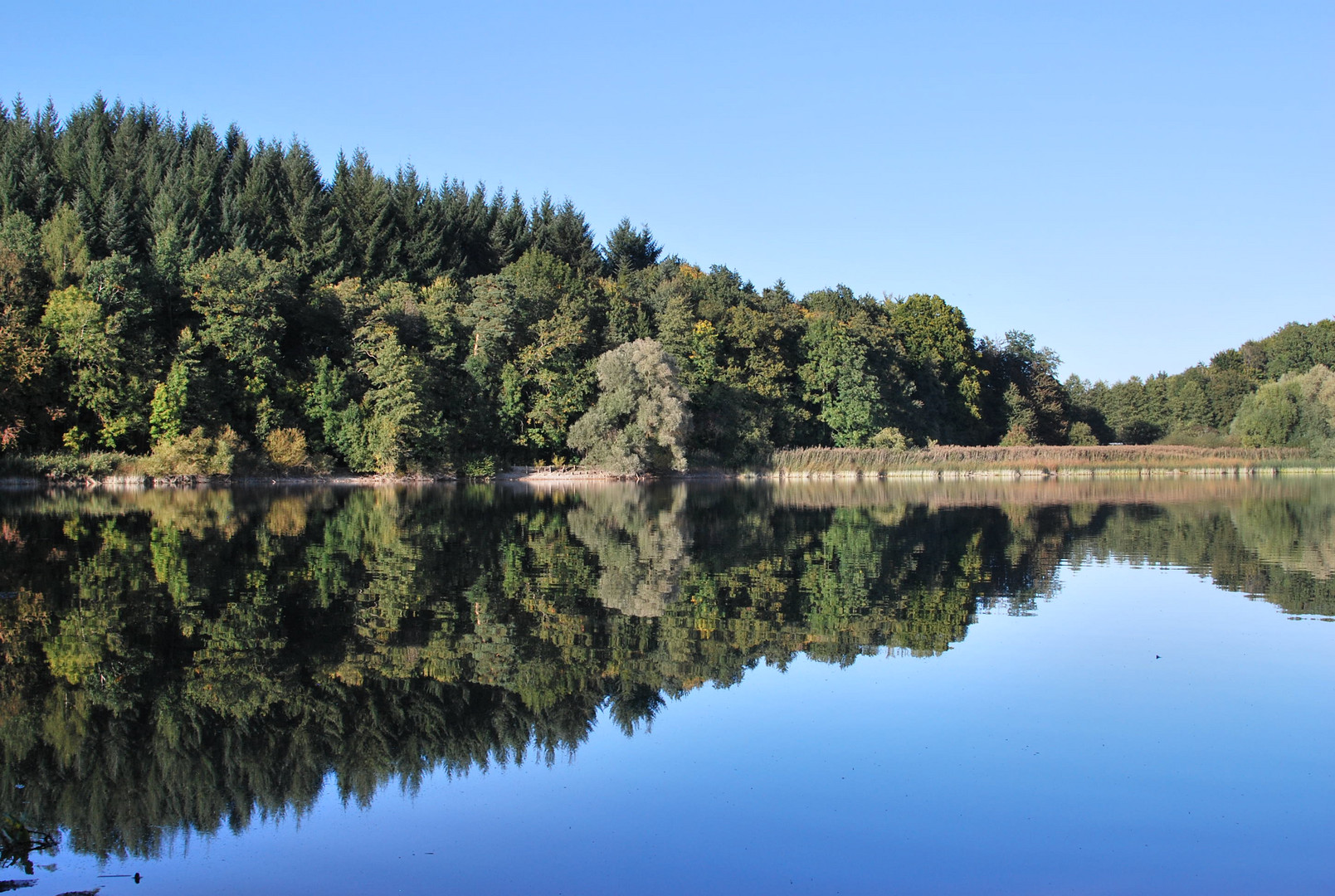 Der Naturspiegel: Wasser