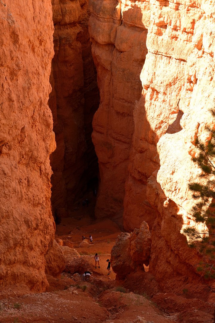 Der Navajo Trail 