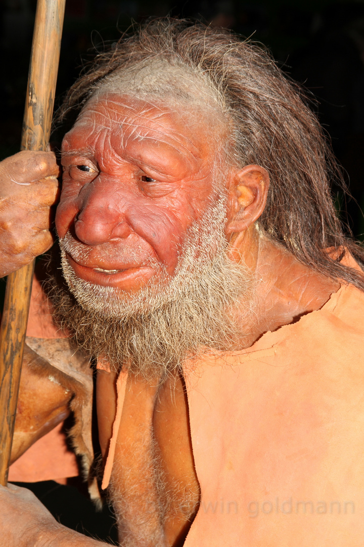 Der Neandertaler
