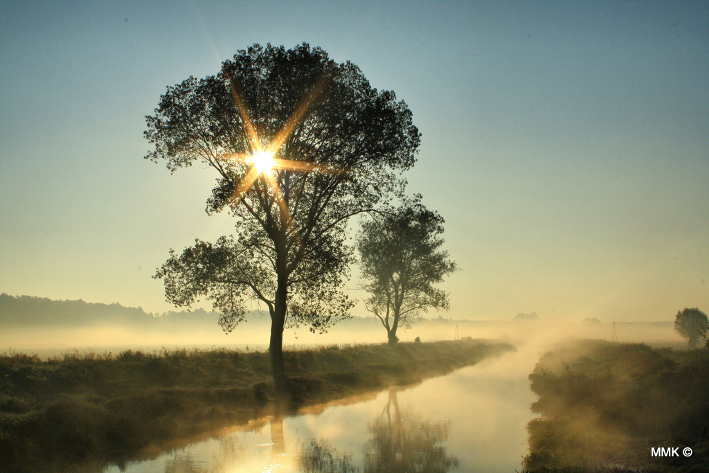 Der Nebel...