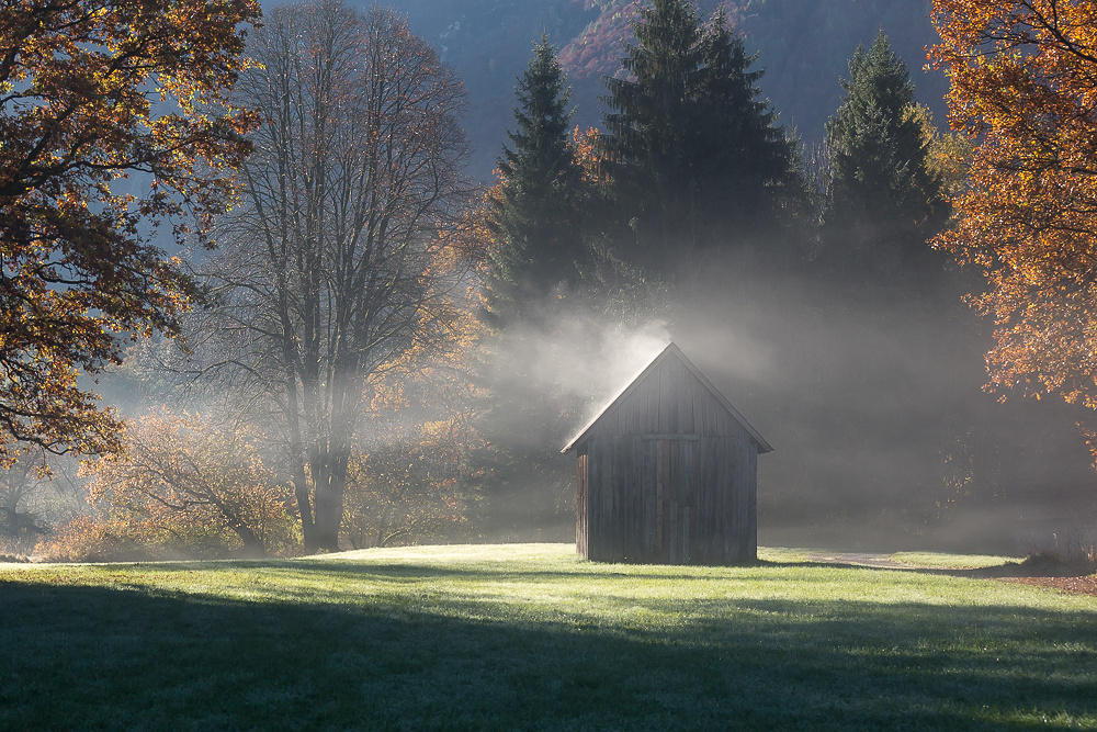 Der Nebel