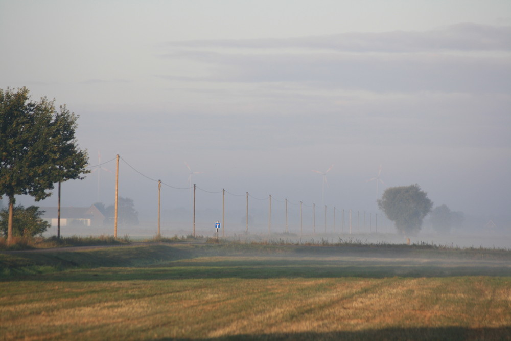 Der Nebel