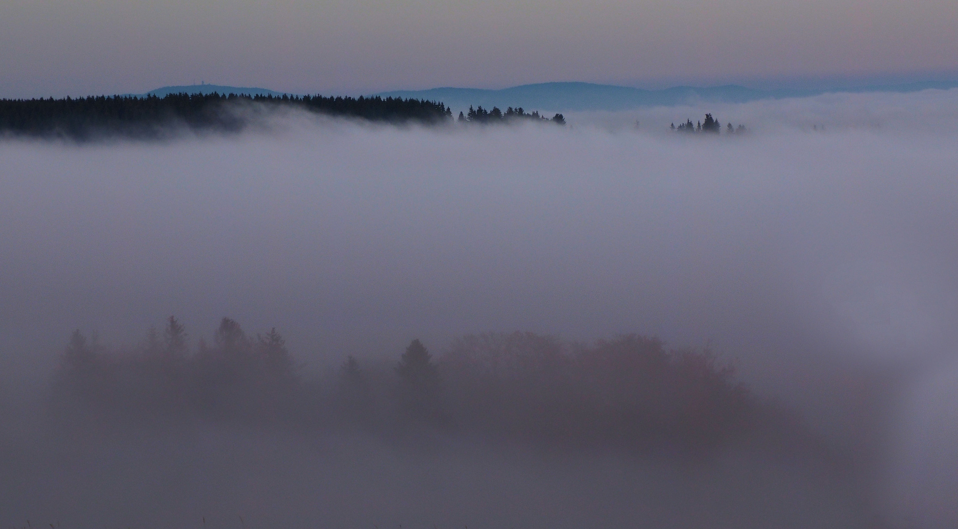 Der Nebel … 