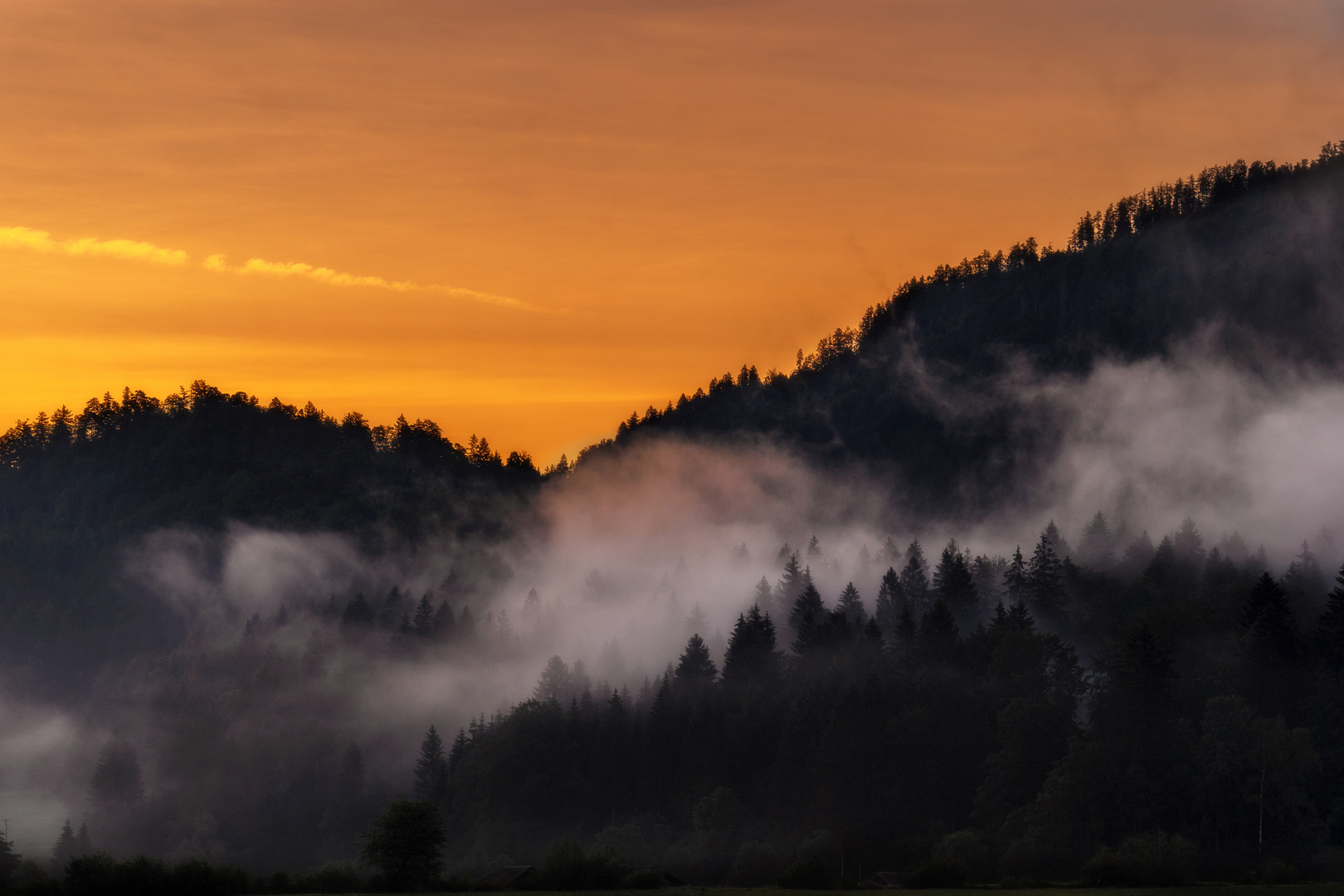 Der Nebel am Morgen 