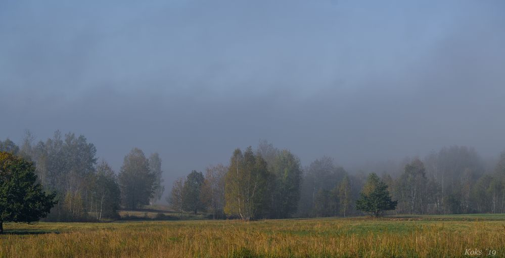 Der Nebel auf der Flucht