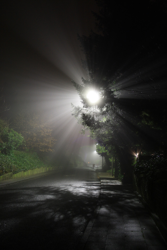 Der Nebel bringt das Licht zum Strahlen