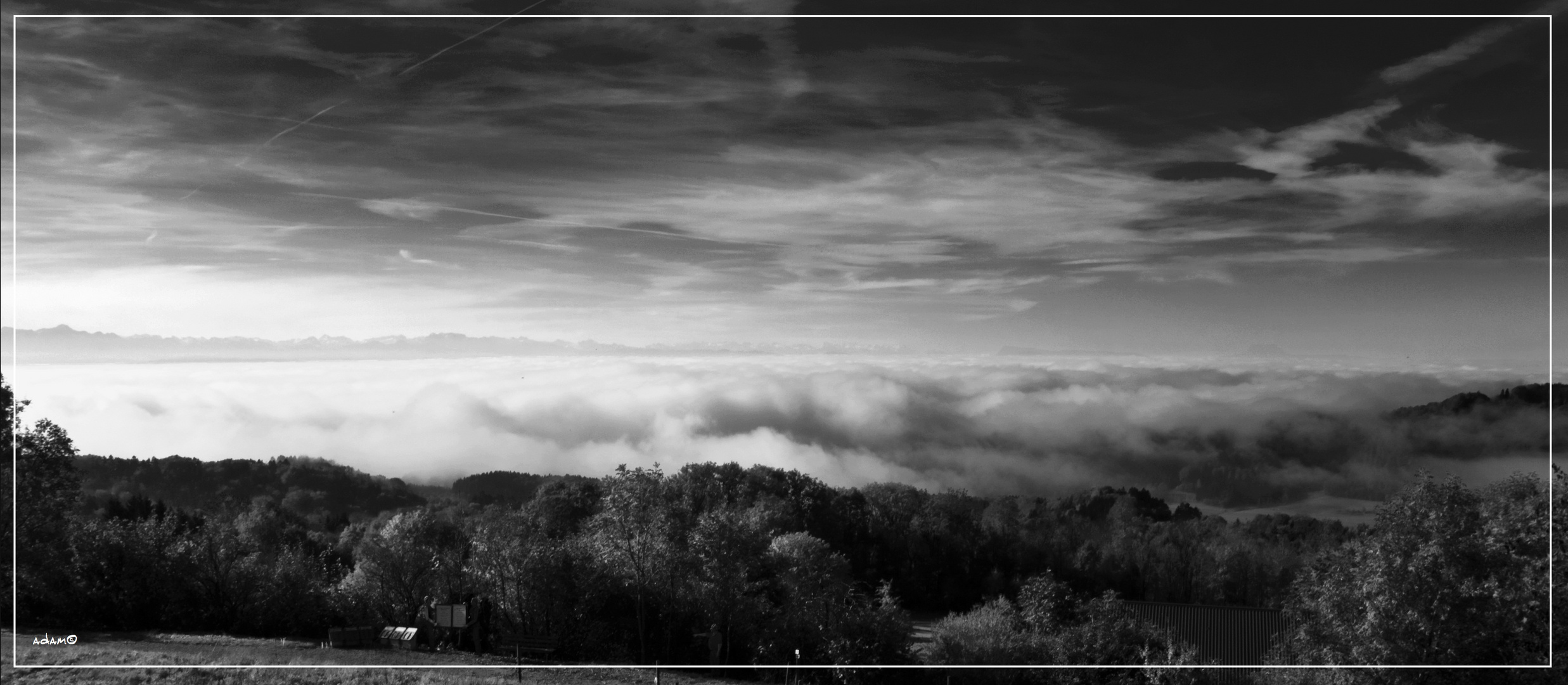 Der Nebel bringt schönes zum Vorschein