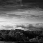 Der Nebel bringt schönes zum Vorschein