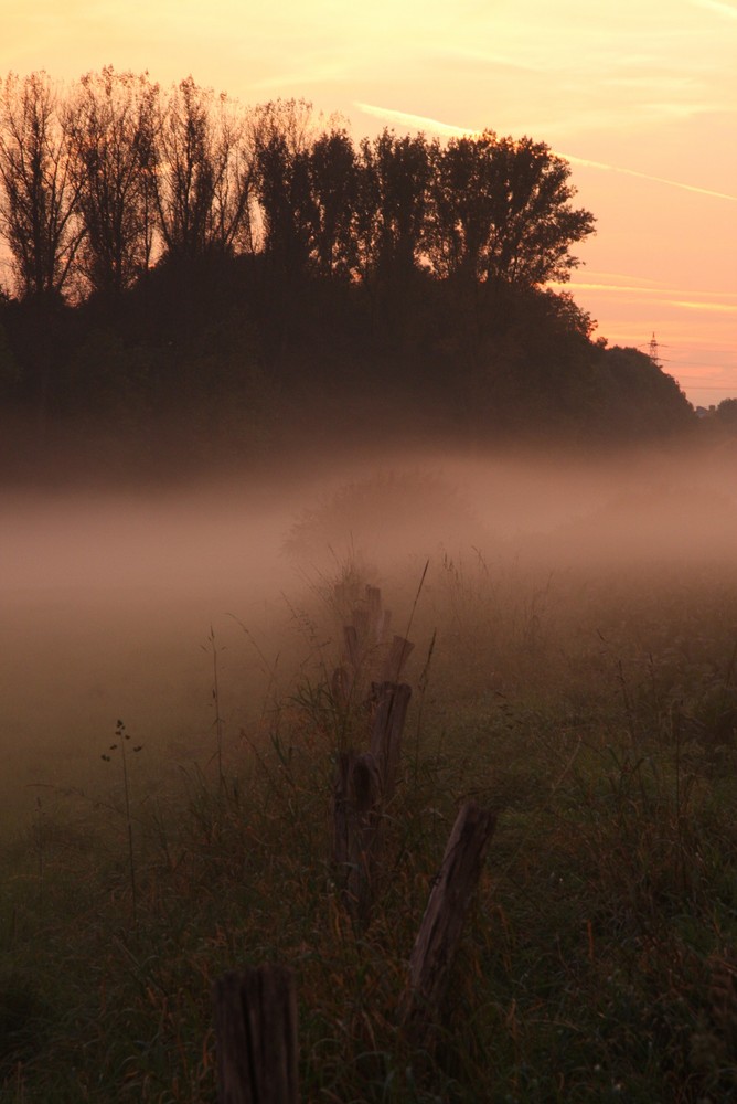 der Nebel