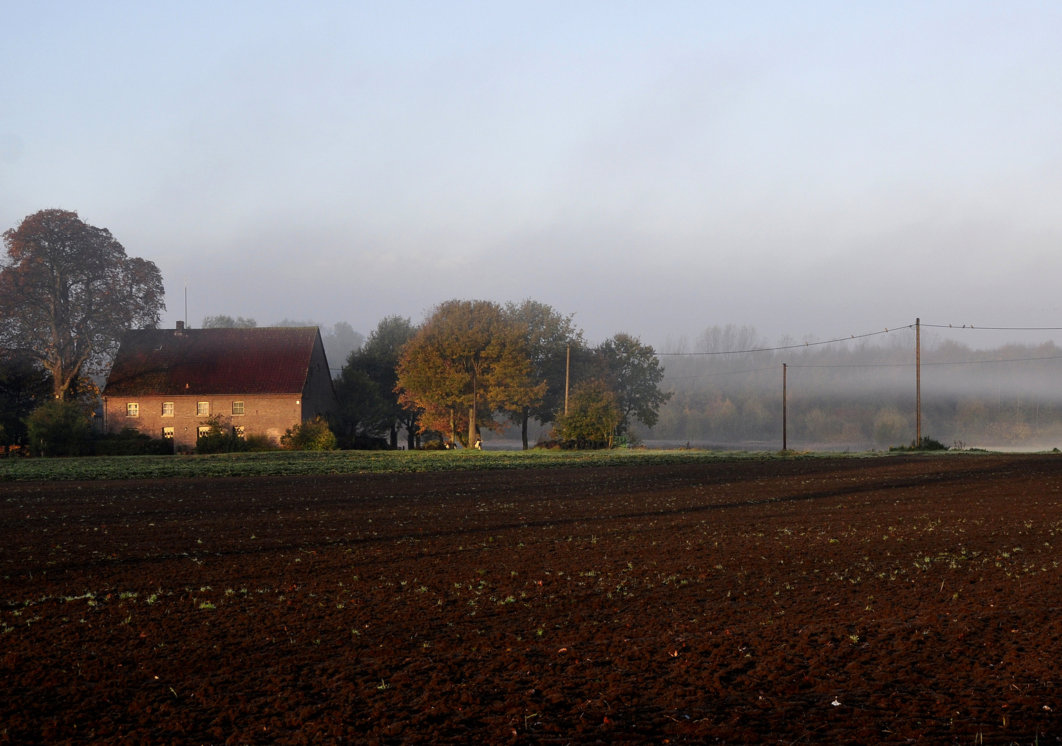 Der Nebel.......