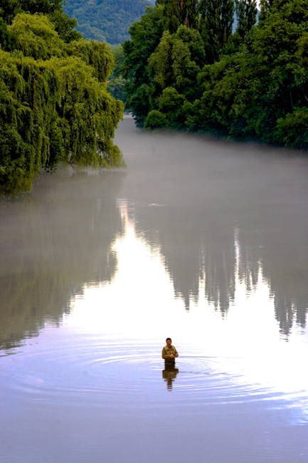 Der Nebel