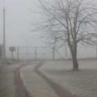 der Nebel