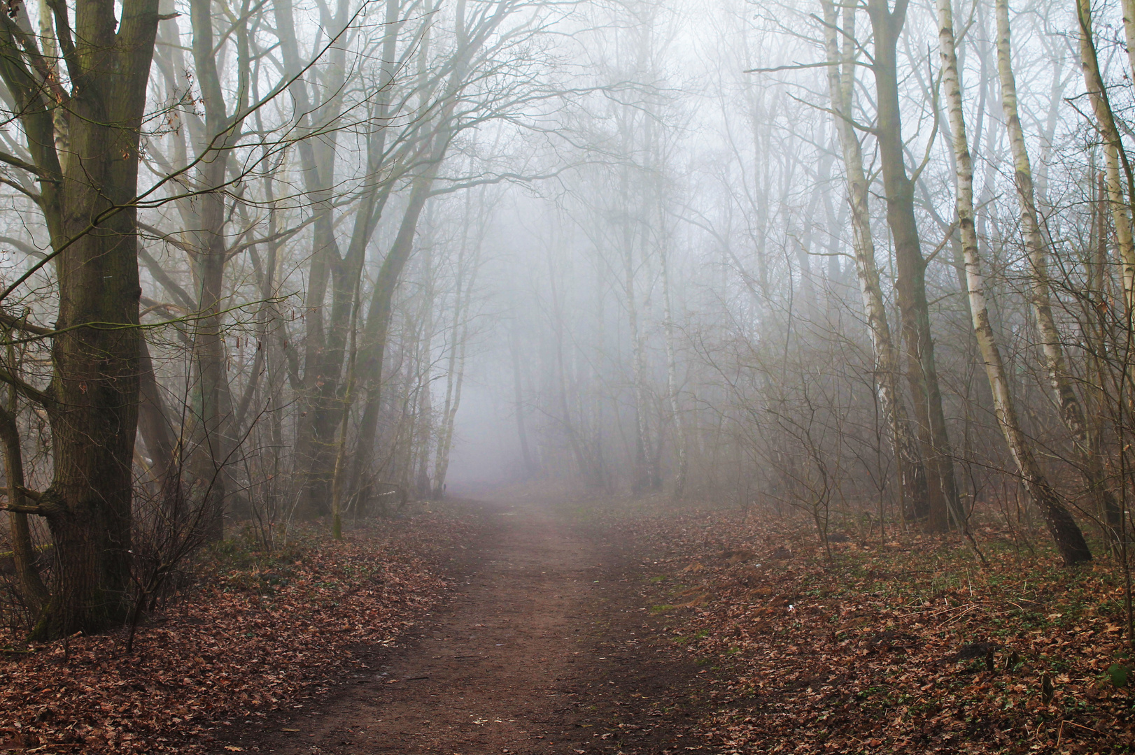 Der Nebel des Grauens