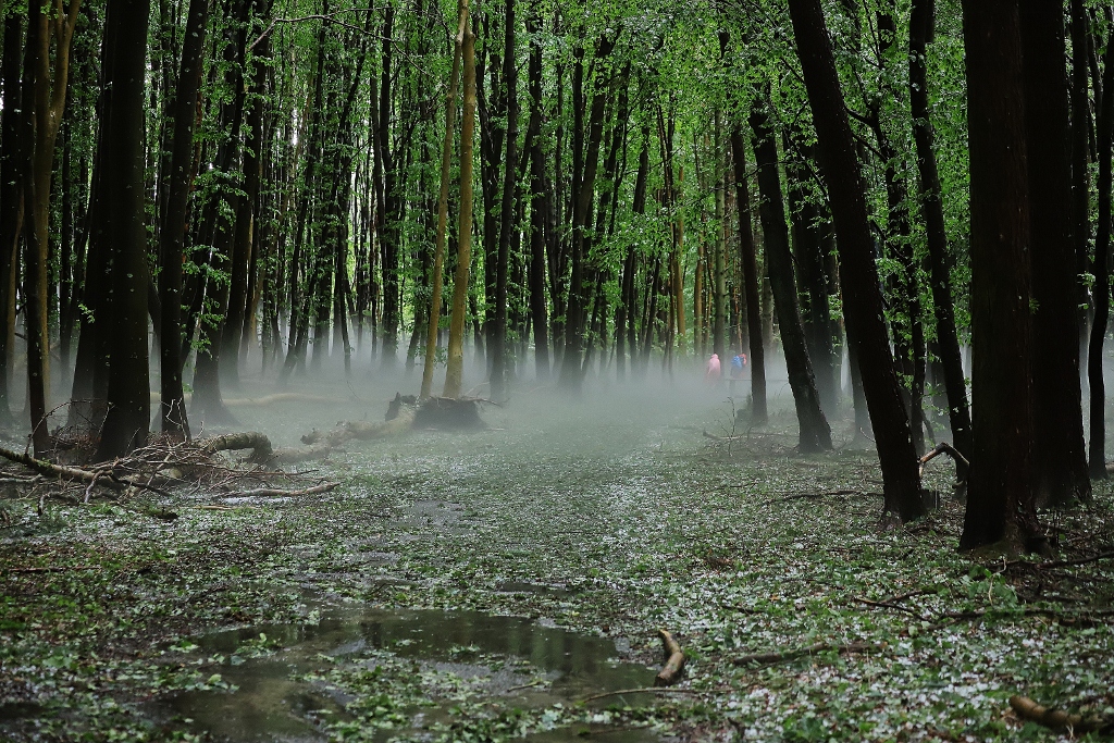 Der Nebel des Grauens ( mit Hagel )