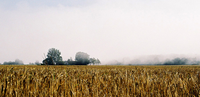 ...der Nebel geht...