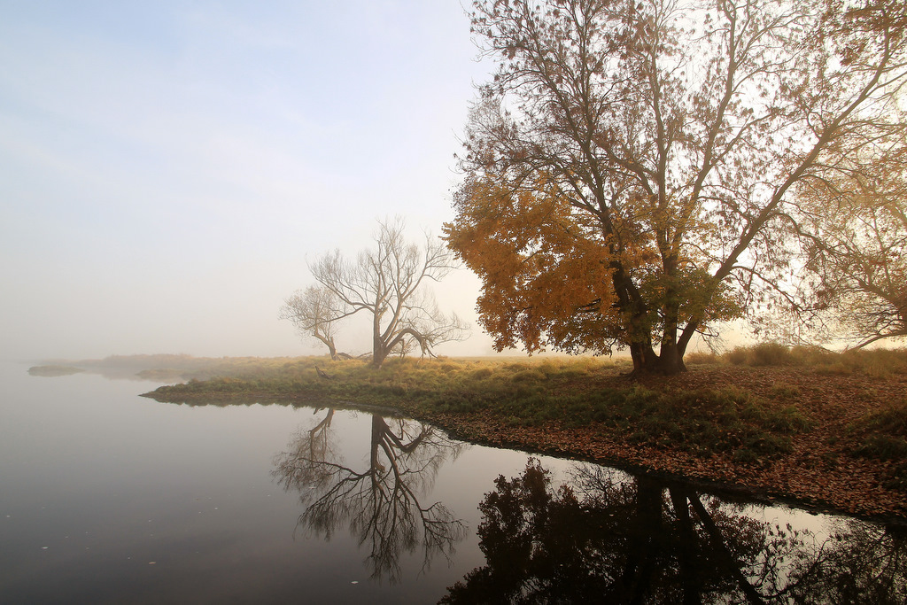 Der Nebel geht