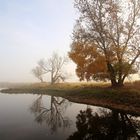 Der Nebel geht