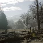 Der Nebel geht die Sonne kommt