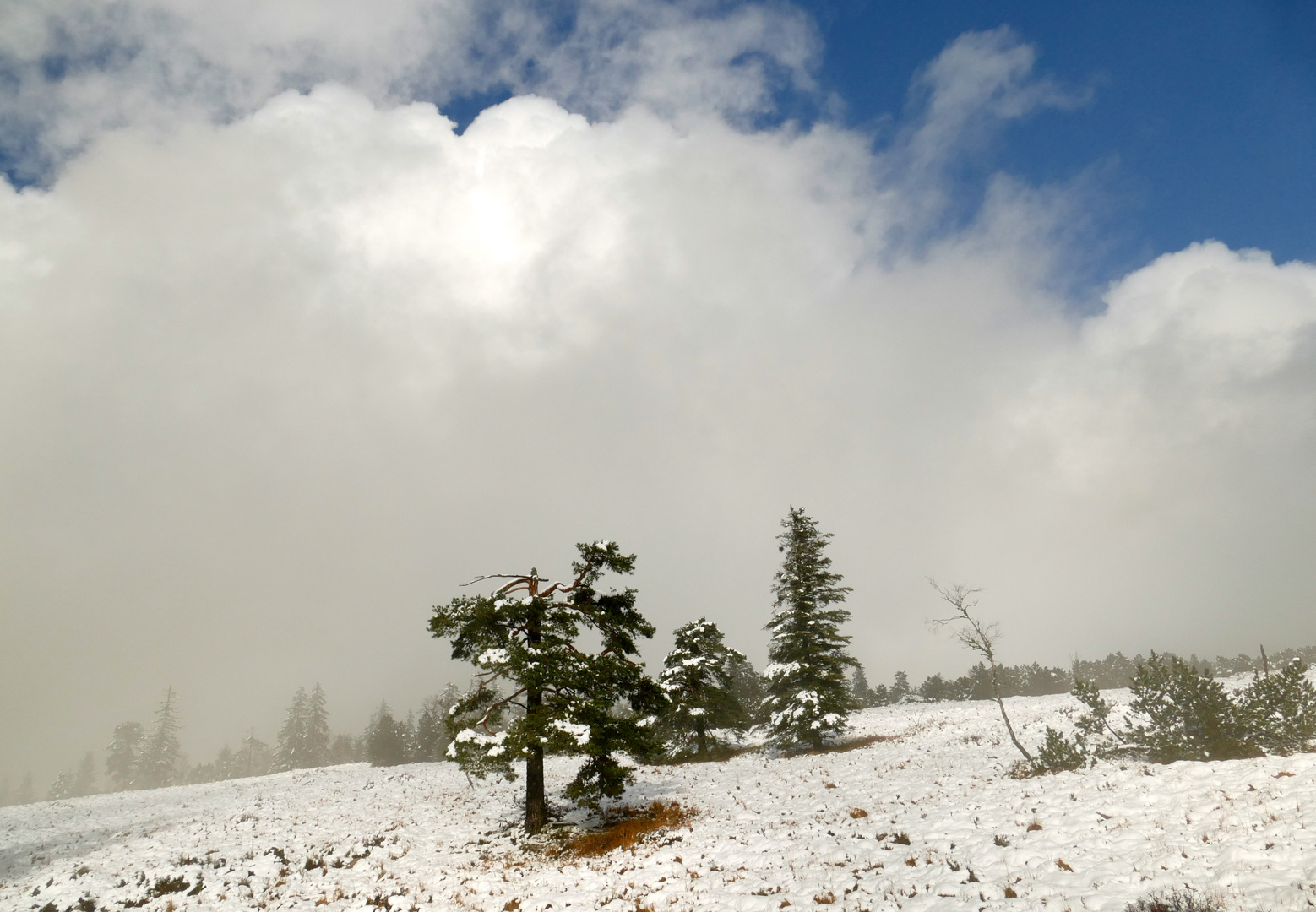 °°°° Der Nebel geht, die Sonne lacht °°°°