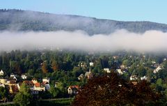 Der Nebel geht....