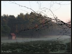 Der Nebel geht...