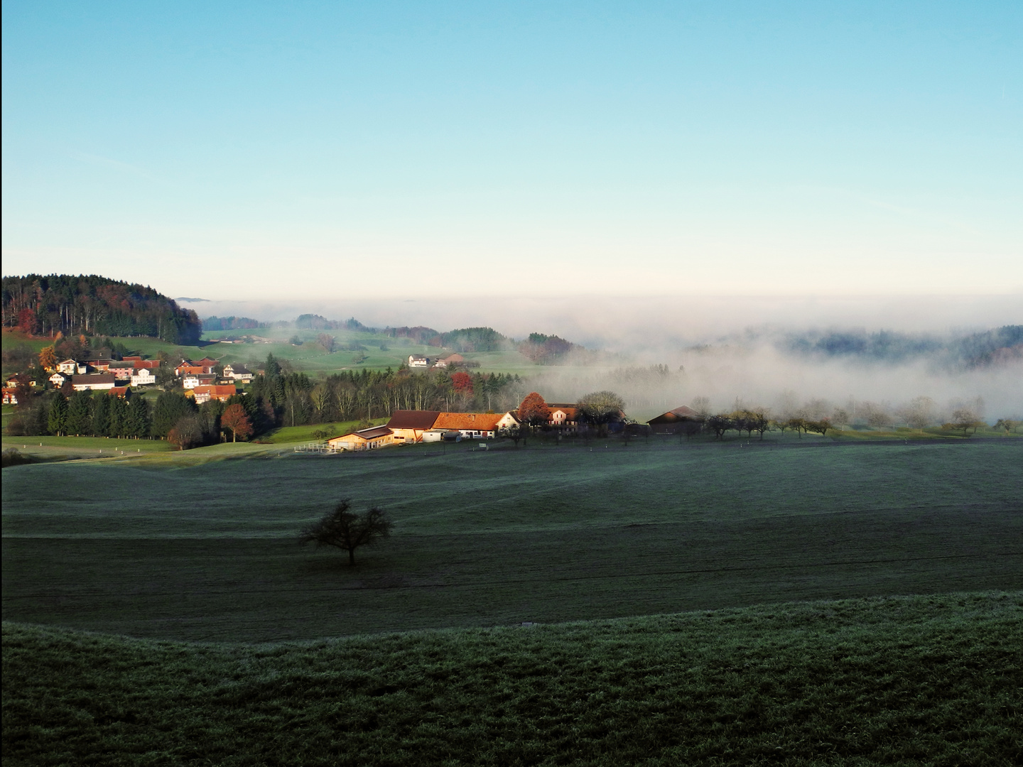 der Nebel geht und die Sonne kommt