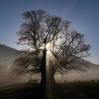 Der Nebel geht und die Sonne kommt!