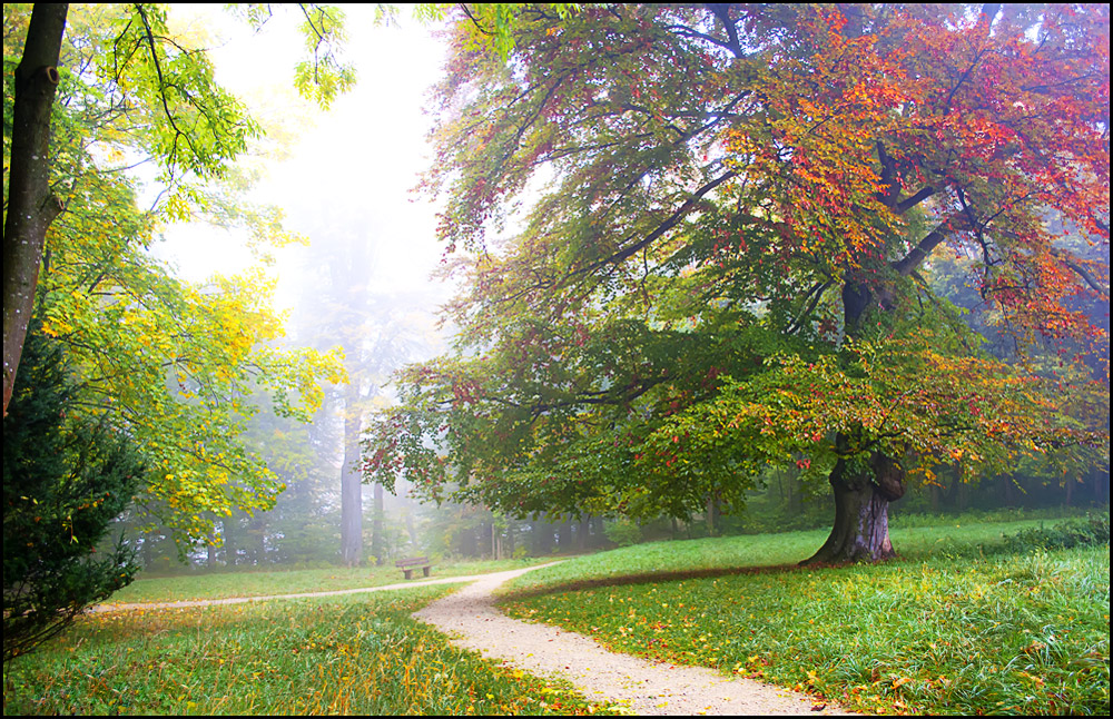 Der Nebel hält sich...