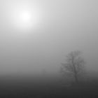 Der Nebel hat gewonnen (Emmerich 2022.01.10)