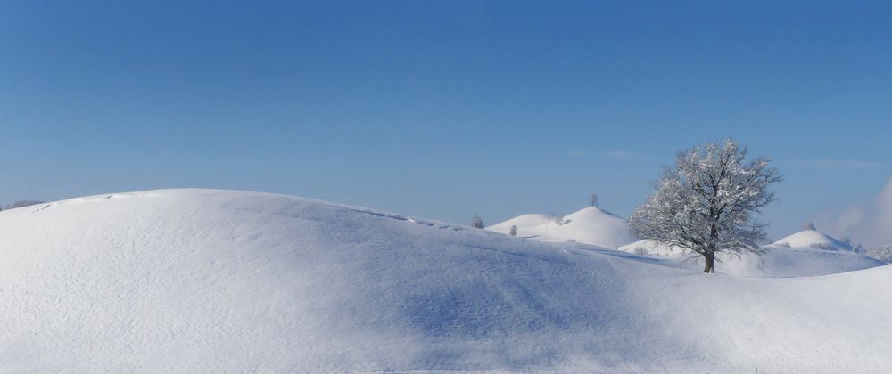 Der Nebel hat sich gelichtet