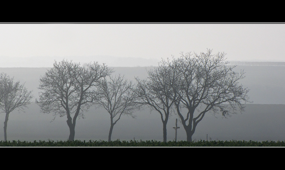 Der Nebel hebt sich auch hier