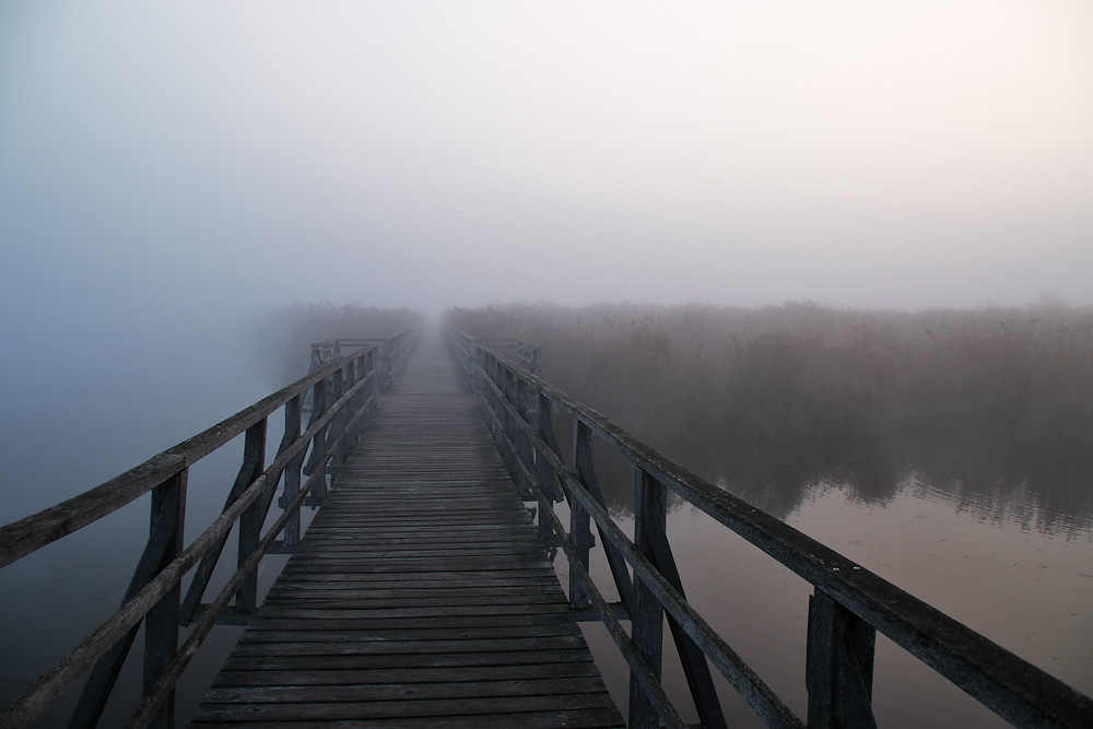 der Nebel herrscht noch vor......