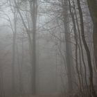 Der Nebel I