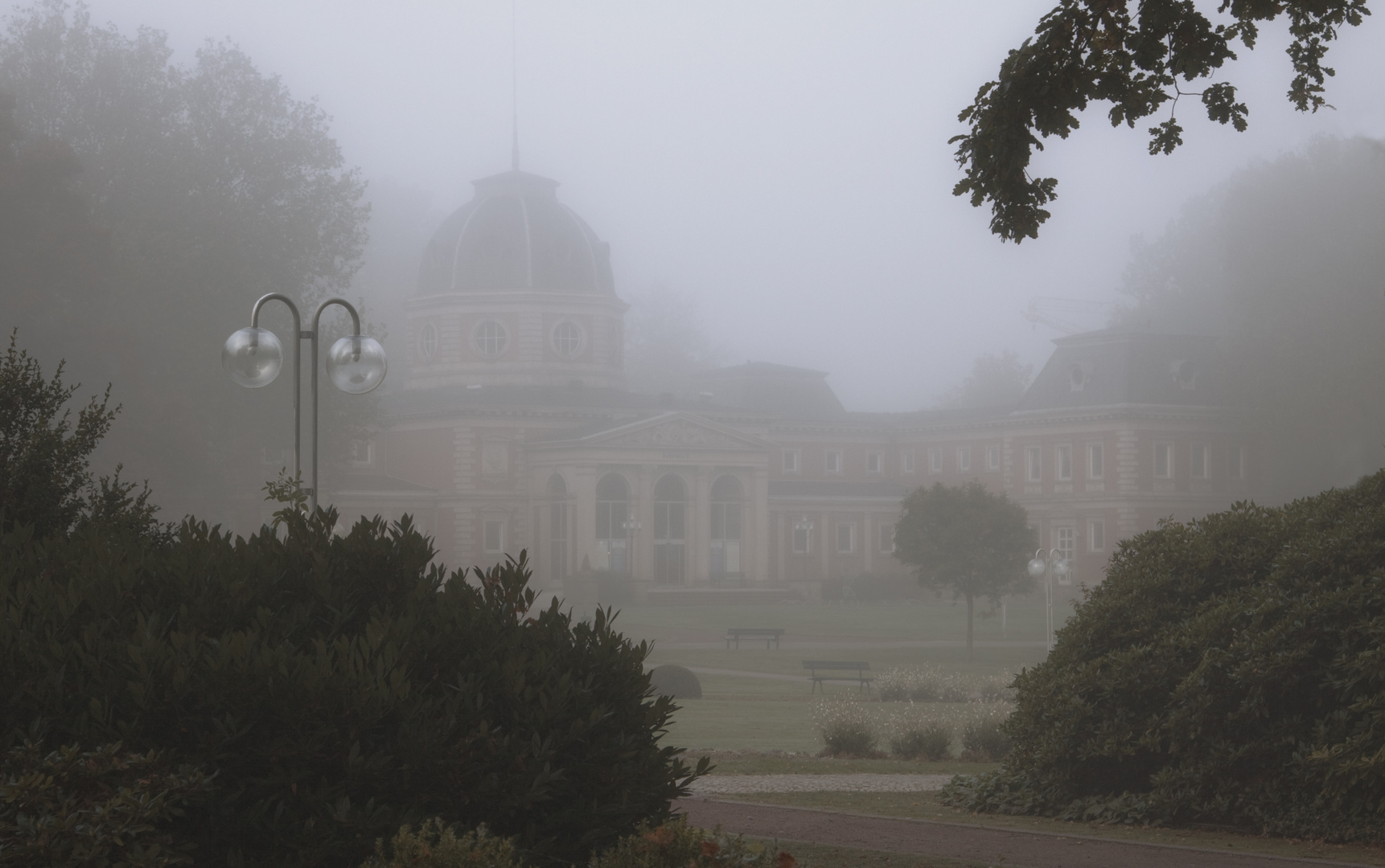 Der Nebel im Park