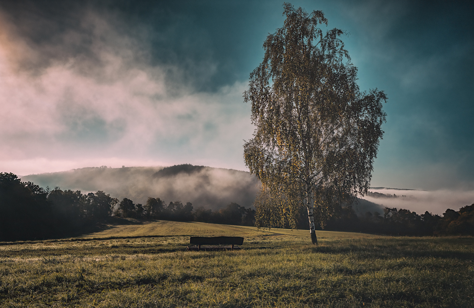 Der Nebel im Tal steigt auf