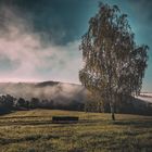 Der Nebel im Tal steigt auf