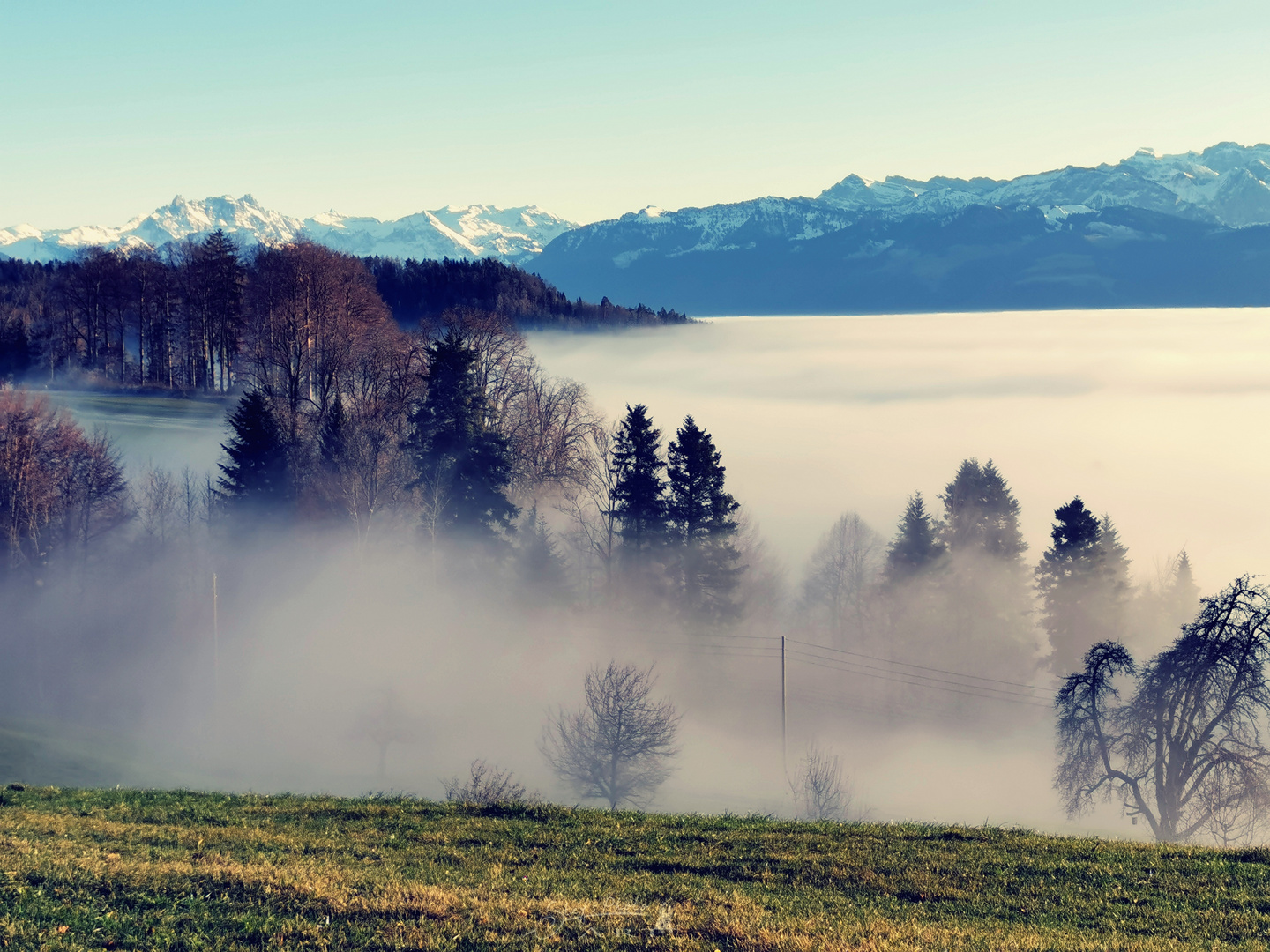 Der Nebel in den Bergen