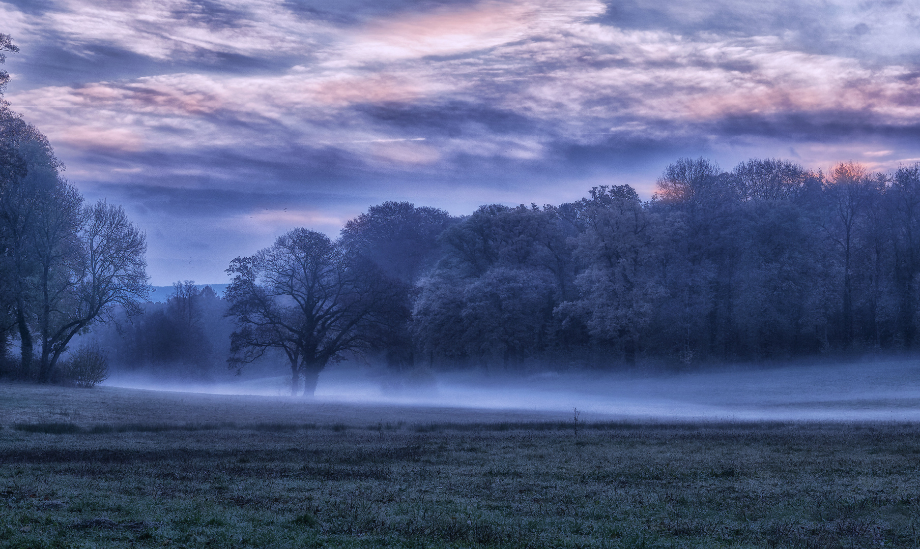 Der Nebel in Neheim