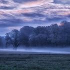 Der Nebel in Neheim