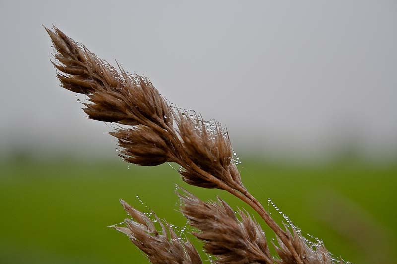 der Nebel ist weg-die Feuchtigkeit bleibt