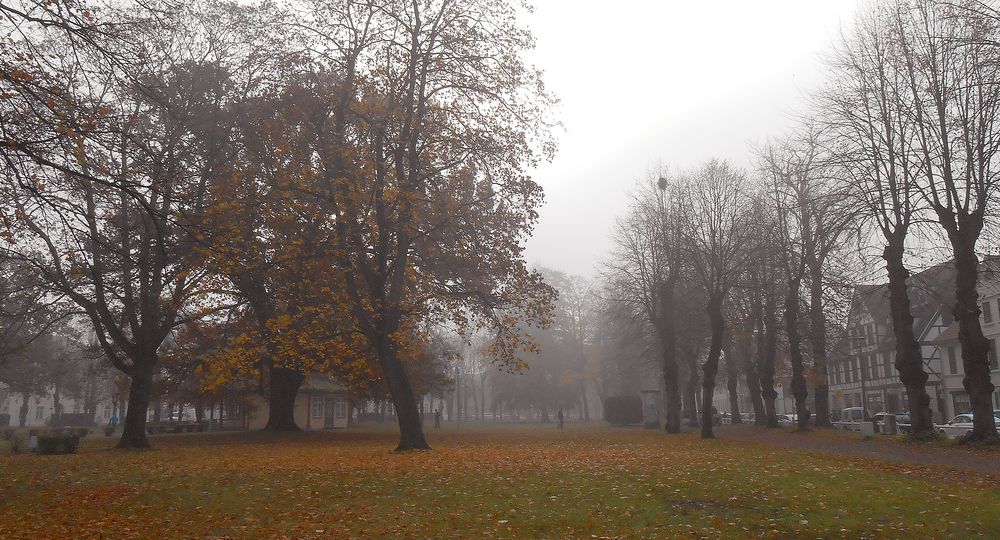 Der Nebel kam