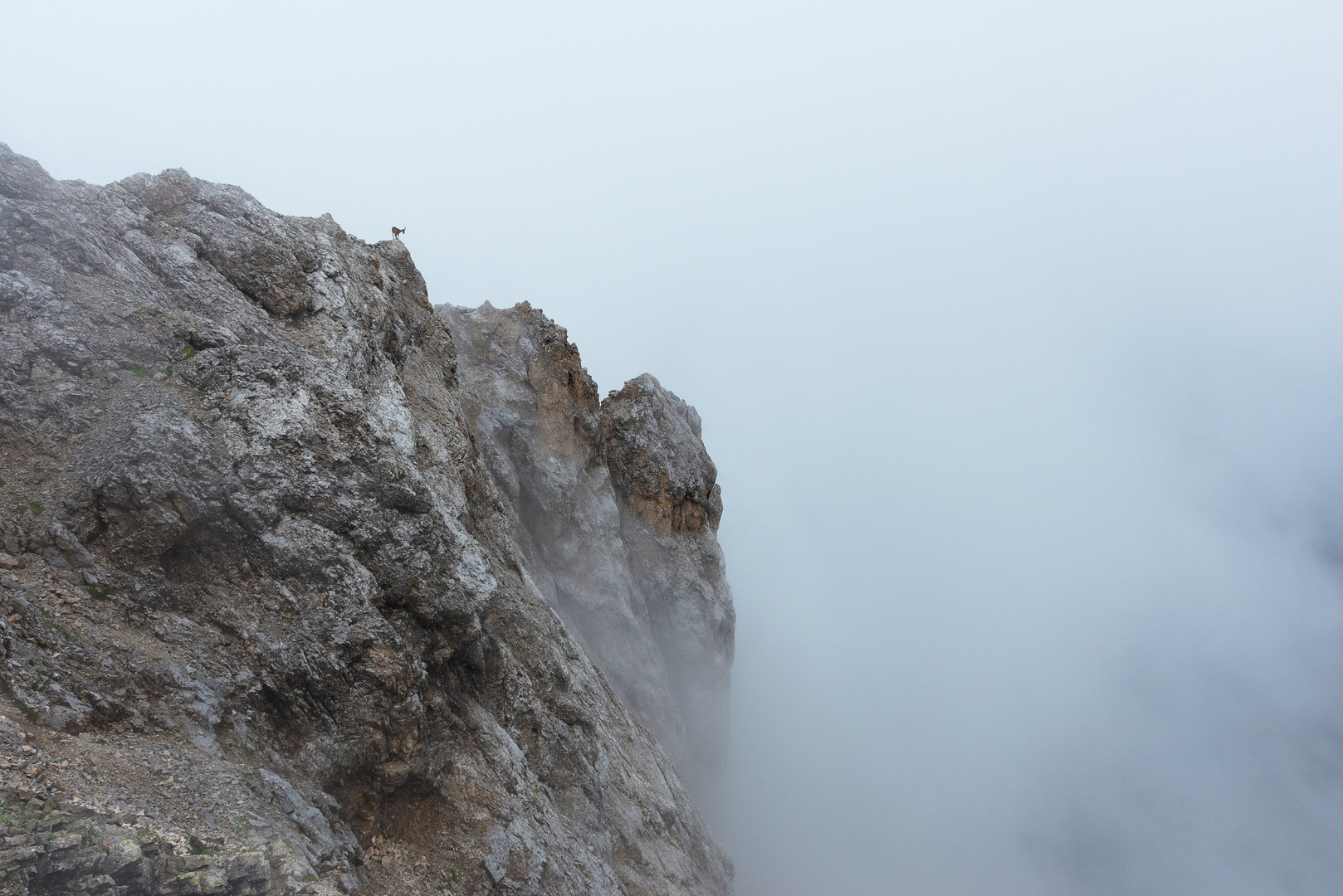 Der Nebel kommt