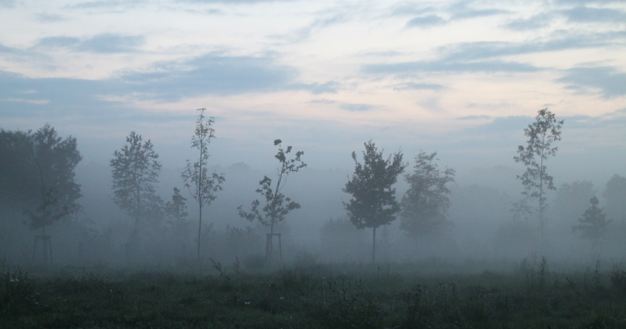 ....der Nebel kommt....