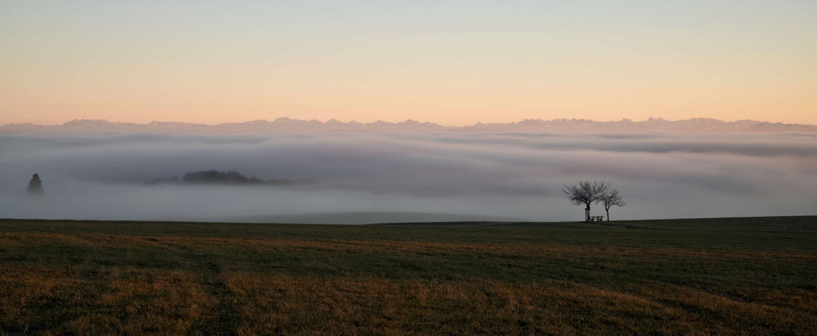 ...der Nebel kommt