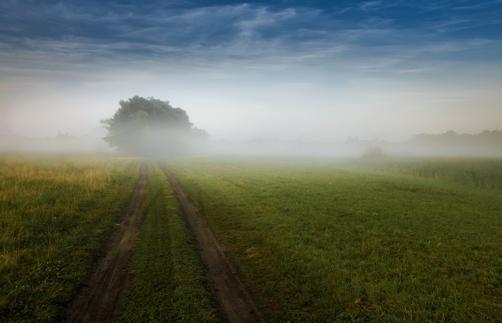 Der Nebel kommt