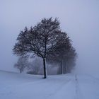 der Nebel kommt