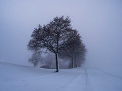 der Nebel kommt