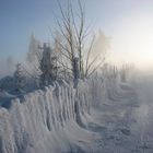 Der Nebel kommt