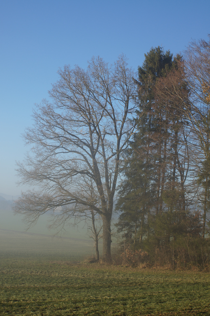 Der Nebel kommt